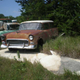 Illustration for article titled Cars Of The John Armbrust Estate Auction